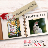 Did you know that the bird featured in the Old Lyme Inn logo is a Northern Flicker? Not only is this a handsome bird, it also has special meaning for the Old Lyme Inn that unfolded in a serendipitous way.
#OldLymeInn
#OLIPetersonFlicker