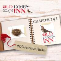 When Chris and Ken Kitchings bought the Old Lyme Inn in 2011 and were busy with renovations to the physical space, the visual identity of the Inn also needed a new look. As avid bird lovers, Chris and Ken felt strongly that the Inn’s logo include a bird… but which one? Thinking back, they remembered an impactful bird encounter. During a wind storm, a tree was split, plummeting baby northern flickers to the ground. Chris quickly created a ‘nest’ out of 2 inverted baskets and proceeded to catch the flightless babies as the parents screamed. Once they had been moved to their new home, Chris and Ken placed the baskets in a crook of a maple tree.
#OldLymeInn
#OLIPetersonFlicker